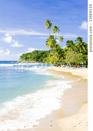 Mount Irvine Bay, Tobago Mount Irvine Bay, Tobago 15669519