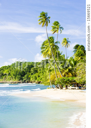 Mount Irvine Bay, Tobago Mount Irvine Bay, Tobago 15669521