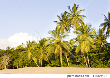 Turtle Beach, Tobago Turtle Beach, Tobago 15669525