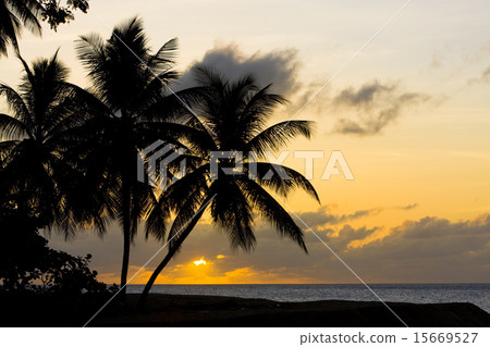 sunset over Caribbean Sea, Turtle Beach, Tobago 15669527