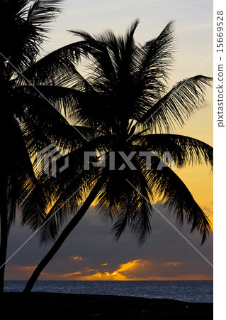 sunset over Caribbean Sea, Turtle Beach, Tobago 15669528