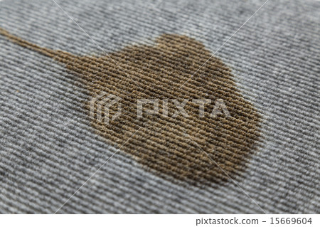 地毯污漬清除圖像 地毯污漬清除圖像 15669604