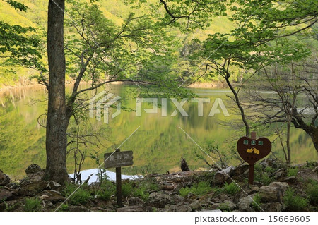 Lake in which Nanika lives · Lake Toyogo · Hokkaido Lake in which Nanika lives · Lake Toyogo · Hokkaido 15669605