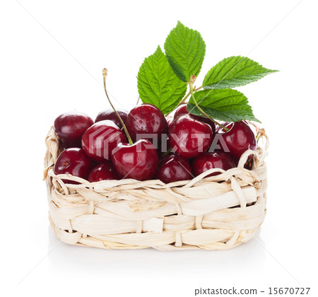 Ripe cherries basket Ripe cherries basket 15670727
