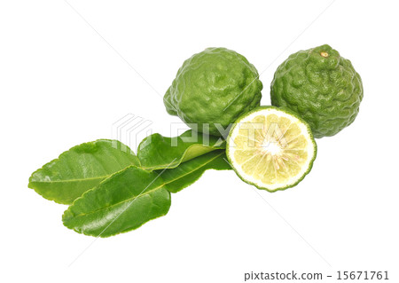 bergamot kaffir lime leaves herb freshisolated 15671761