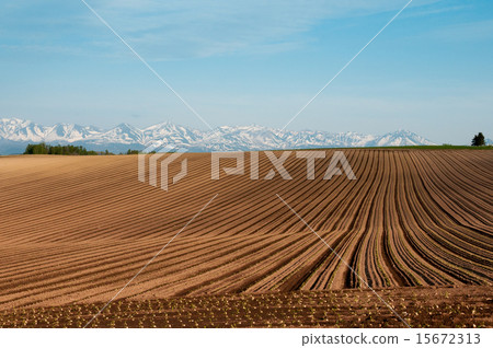 Spring fields Spring fields 15672313