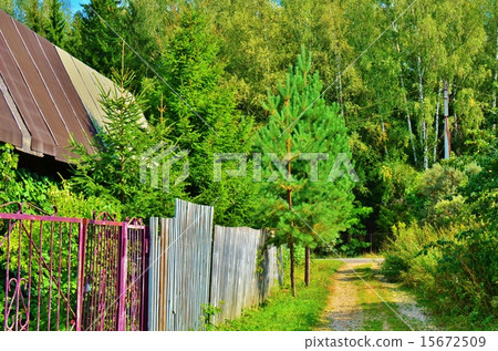 Country Road 15672509