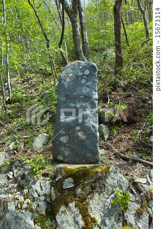 Shimo半島·Anega Daitsunami紀念品 15673314