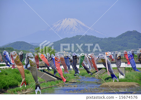 Carp streamer 15674576