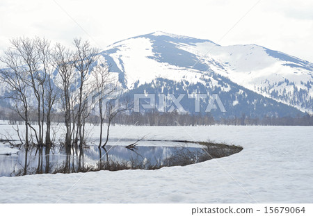 Ozegahara和佛山 - 02 Ozegahara和佛山 - 02 15679064