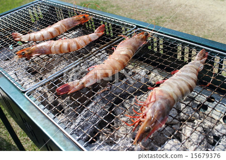 barbecue barbecue 15679376