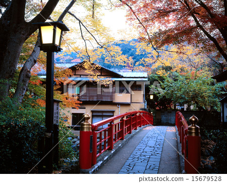 秋天修善寺溫泉 15679528