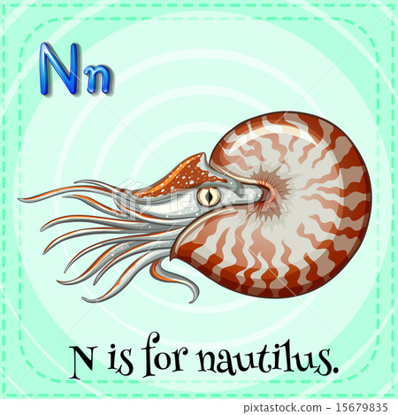 Nautilus 15679835
