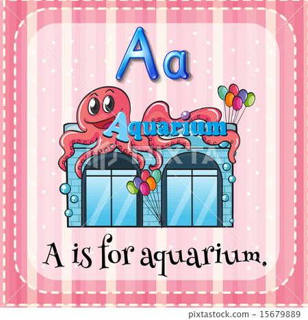 Aquarium Aquarium 15679889