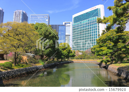 濱離宮恩賜庭園 15679928