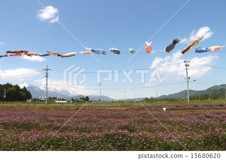 Range field and carp streamers 15680620