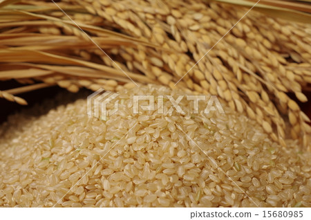 糙米在米和碗服務 15680985