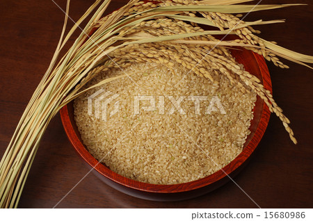 糙米在米和碗服務 15680986