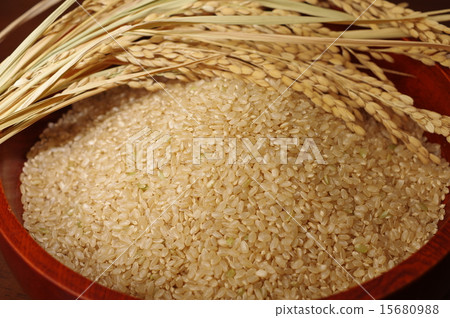 糙米在米和碗服務 15680988