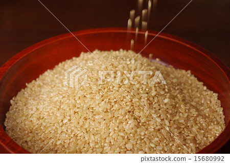 跌倒在一個大儀器的糙米 跌倒在一個大儀器的糙米 15680992