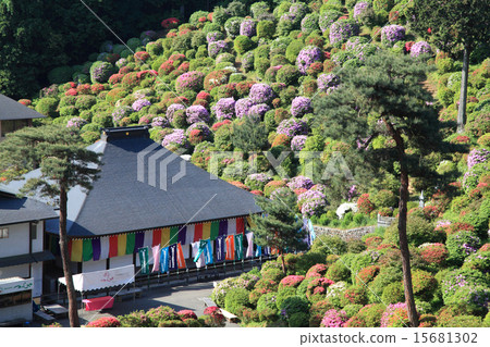 鹽船觀音 15681302