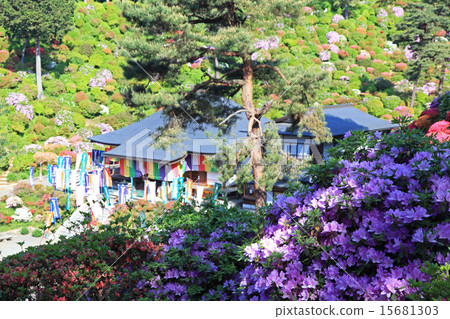 鹽船觀音 15681303