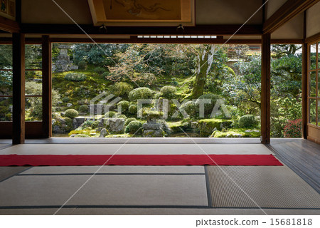 春天真正的光化門，南側花園 15681818