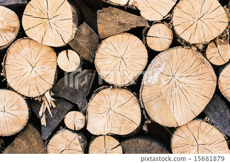 图库照片: pile of chopped wood