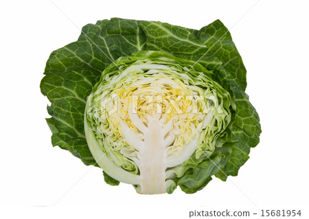 Spring cabbage Spring cabbage 15681954