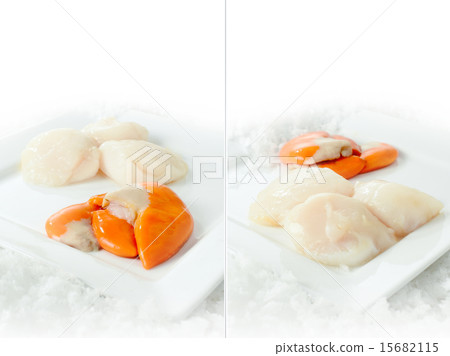 Raw Scallop Corals 15682115