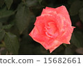 Flosin 15682661