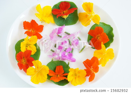 食用花卉 15682932