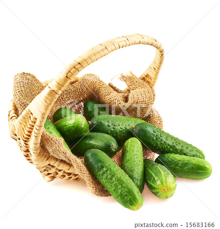 Wicker basket full of cucumbers isolated 15683166