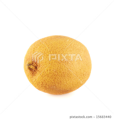 Dried old lemon fruit isolated Dried old lemon fruit isolated 15683440