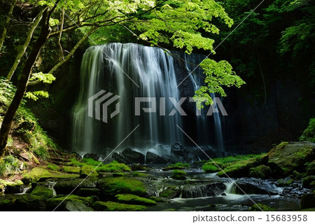 Tatsuzawafudo Falls 15683958