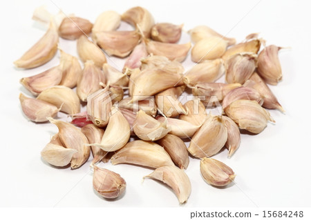 Garlic 15684248