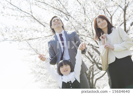 Families standing on a row of cherry blossoms 15684640