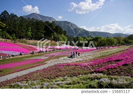 Shiba Sakura no Oka Shiba Sakura no Oka 15685117