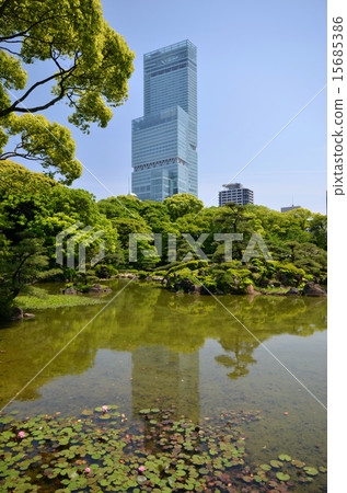 Fresh green Keoseuen and Abe Harukasu 15685386