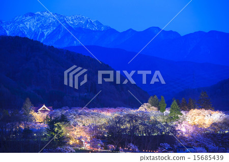 Night cherry blossoms at Takatoshi castle ruins park and Southern Alps Nagano prefecture Ina-shi Night cherry blossoms at Takatoshi castle ruins park and Southern Alps Nagano prefecture Ina-shi 15685439