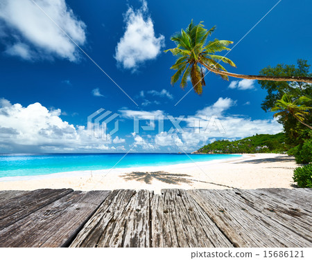 Beautiful beach at Seychelles 15686121