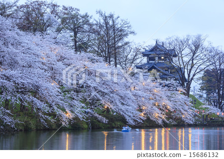 高田城和櫻花點亮了新潟縣上越市 15686132