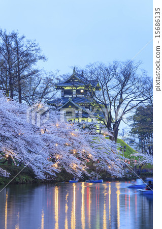 高田城和櫻花點亮了新潟縣上越市 15686135