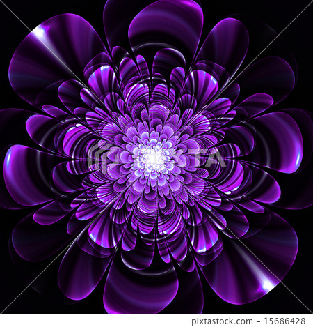 圖庫插圖: beautiful purple flower