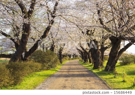 岩手縣上田市北上市北上市 15686449