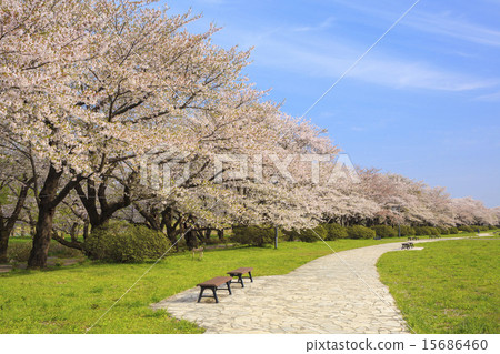 Kitakami Exhibition Kitakami-shi, Kami-shi, Iwate prefecture 15686460