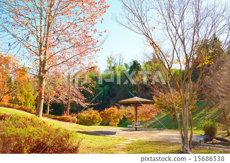 秋天的公園 15686538