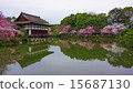 Cherry blossoms at Heian Shrine 15687130