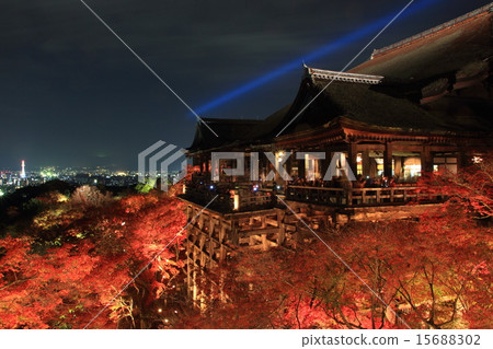 清水寺在秋天點亮 清水寺在秋天點亮 15688302