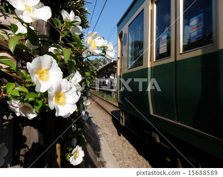 Flowers and trains Flowers and trains 15688589